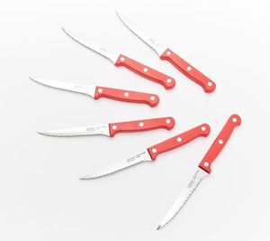 lot 10259 image: Retail - $22.00 Ginsu 6-Piece Stainless Steel Steak Knife Set. COLOR DIFFERS FROM STOCK PHOTO. AQUA