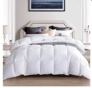 lot 55167 image: Globon Goose Down Comforter King Size,Medium Weight Duvet Insert for All Season,45OZ,650 Fill Power,100% Cotton with Corner Tabs,White�� (Retail $159.90)