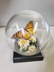 lot 72 image: Vintage Butterfly Diorama, Globe, Butterfly Globe, Glass Dome