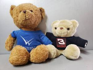 lot 198 image: Victory In The Valley Bear,Dale Earnhardt #3 Teddy Bear