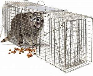 lot 45634 image: Live Animal Trap