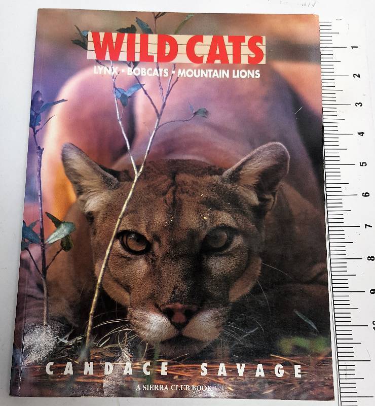 lot 7478 image: Over 130 pages hard back bound featuring 90 plus color photographs of real wild cats by Candace Savage author
