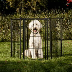 lot 11 image: Carlson Extra Tall 144-Inch Super Wide Heavy Duty Gate and Pet Pen Includes Walk Through Door and Mounting Hardware
