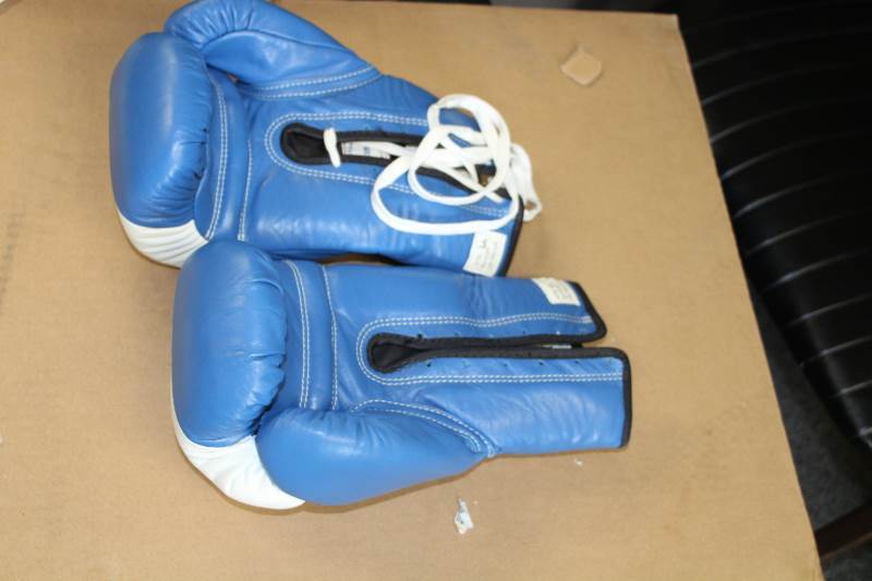 lot 2132 image: Ring Side Boxing Gloves