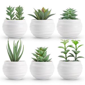 lot 6665 image: Der Rose Set of 6 Succulents Plants Artificial in Pots Small Fake Plants for Bedroom Aesthetic Living Room Office Shelf Bathroom Decor