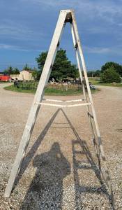 lot 575 image: 8 Aluminum ladder