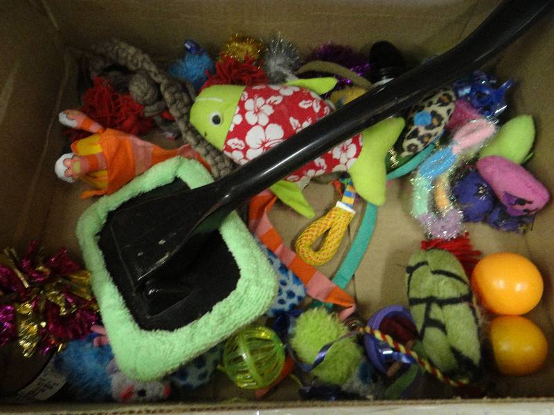 lot 313 image: Various cat toys & misc.