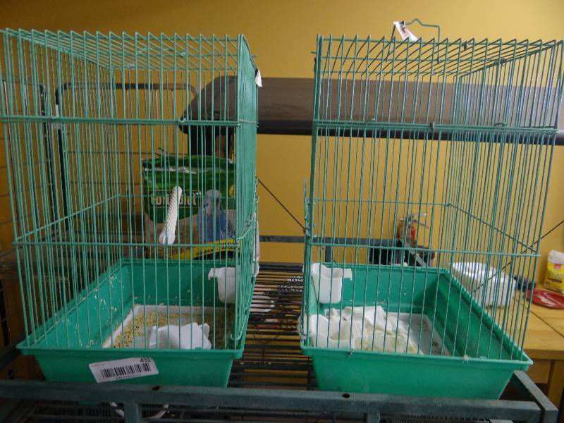 lot 431 image: 2 Small bird cages.