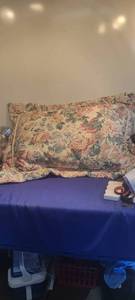 lot 1927 image: Bed sham with pillow