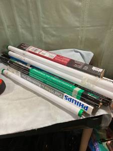 lot 5268 image: Long bulbs, 18�� & 23��