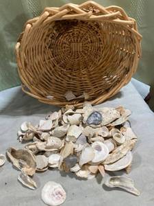 lot 7961 image: Basket of shells