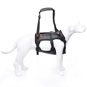 lot 7183 image: Dog Lift Harness Full Body Support, Sturdy Dog Sling for Large Dogs Hind Leg Support, Comfort Back Legs Support Tubes Help Your Arthritis, Old, Disable Dogs Up & Down Stairs, Take to Vet (XL)