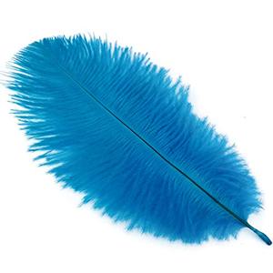 lot 7284 image: Shekyeon 8-10inch(20-25cm) Ostrich Feather Plumes Wedding Centerpiece Table Decoration Pack of 20(Turquoise)
