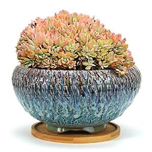 lot 7311 image: Summer Impressions 8 Inch Handmade Natural Cracking Round Ceramic Succulent Planter Pot with Drainge Hole and Saucer Cactus Clay Pot (Teal)