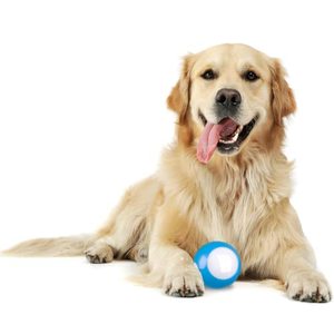 lot 7638 image: Frdkate Ezfun Peppy Pet Ball for Dogs, Interactive Dog Ball Toy-USB Rechargeable Automatic Moving Rotating LED Light, Active Rolling Ball for Dogs, 2023 Newest Version.