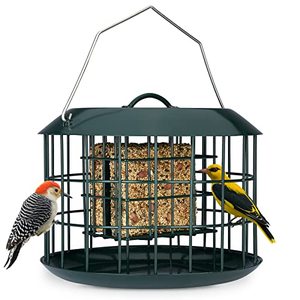 lot 7725 image: Kingsyard Squirrel Proof Suet Feeder, Cage Bird Feeders for Outdoors Hanging, All Metal, Double Suet Cake Capacity, Tray & Weatherproof, Green