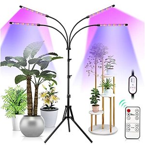 lot 8384 image: Grow Lights for Indoor Plants, LED Full Spectrum Plant Light with Stand (Adjustable Tripod 15-60inch for Floor Plants, RedBlueWhite, 4812H Timer with Remote Control) (Red)