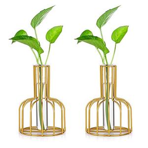 lot 9256 image: Glass Propagation Station with Metal Frame, Gold Flower Vase, Test Tube Vase for Hydroponic Plant, Small Bud Vase for Home Kitchen Office Table Top Decor