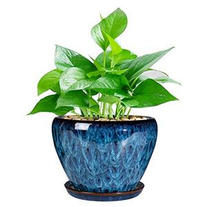 lot 9717 image: Ceramic Modern Glaze Succulent Planter Pot with Drainage Hole and Saucer 6 Inch Round Flower Plant Pot for Indoor Outdoor Herb Snake Plants