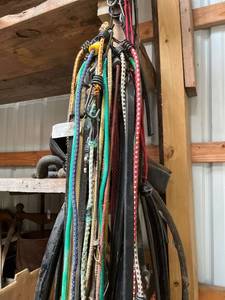 lot 2064 image: Lot Of Bungie Cables