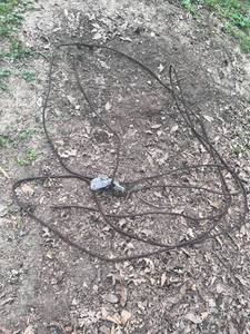 lot 1266 image: 12 Cable