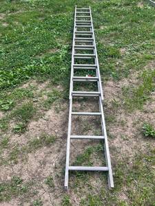 lot 1273 image: Household Type 3 Extension Ladder Model 385-24