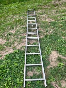 lot 1274 image: Extension Ladder