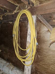 lot 4590 image: Garden Hose