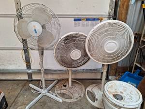 lot 1742 image: (3) Shop pedestal  Fans