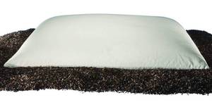 lot 53771 image: Sobakawa Traditional Buckwheat Queen Size Pillow Organic Cotton with Natural Technology for Cool Sleep, Neck Support for Back and Side Sleepers or as a Meditation Cushion, White