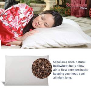 lot 53773 image: Sobakawa Traditional Buckwheat Queen Size Pillow Organic Cotton with Natural Technology for Cool Sleep, Neck Support for Back and Side Sleepers or as a Meditation Cushion, White Retail $49