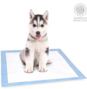 lot 53821 image: Ultra Absorbent Odor Control Scented Training Pads For Dogs Leak-proof Quick Dry Gel �� 22 x 22 Puppy Pads - Fresh Scented - Pack of 150