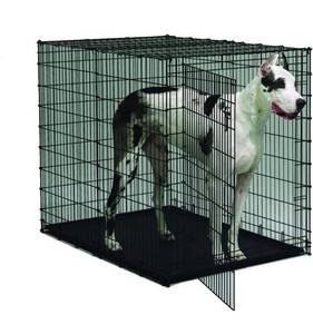 lot 53865 image: Midwest Solution Series Plastic Pan (Replacement) for 1154U Door Dog Crate