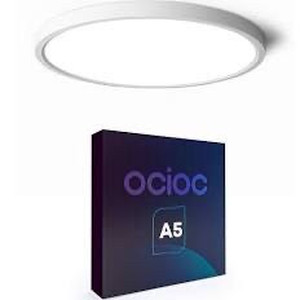 lot 9292 image: Ocioc Ceiling Light