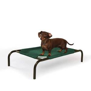 lot 70029 image: Coolaroo The Original Cooling Elevated Pet Bed for dogs or cats fits animals up to 50 pounds