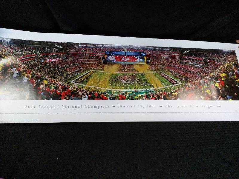 lot 249 image: Ohio State Buckeyes 2015 National Champion Panoramic Poster