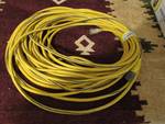 Heavy Duty Extension Cord with lit ends