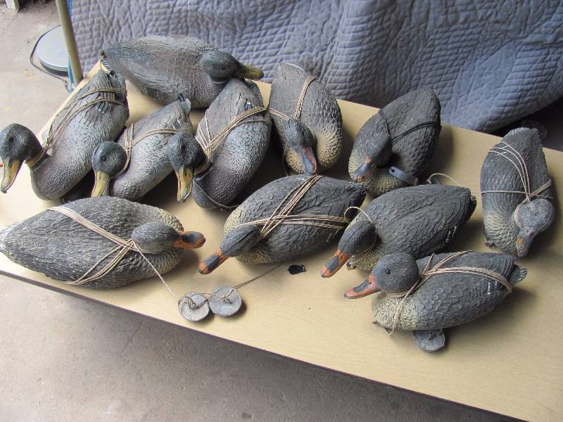 lot 8002 image: Lot of 11 Duck Decoys w bag