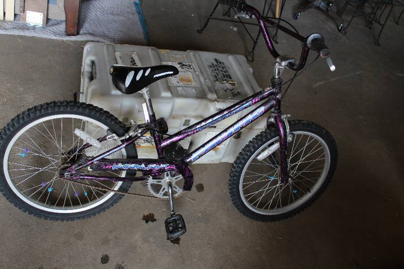 lot 9025 image: Pacific Moonlight Bicycle
