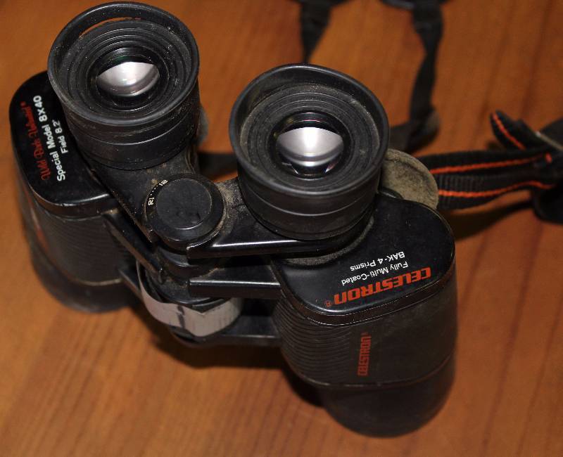 lot 9138 image: Celestron Binoculars - Special model 8X40 - BAK 4 Prisms