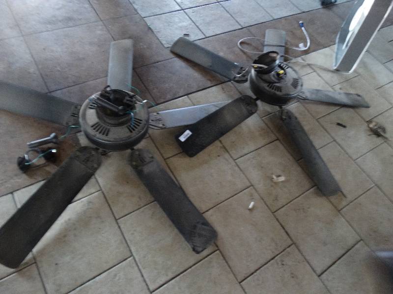 lot 2794 image: 2 ceiling fans