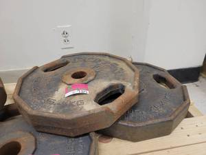 lot 1375 image: Lot of 2 Iron Grip 100lb Weight Plates