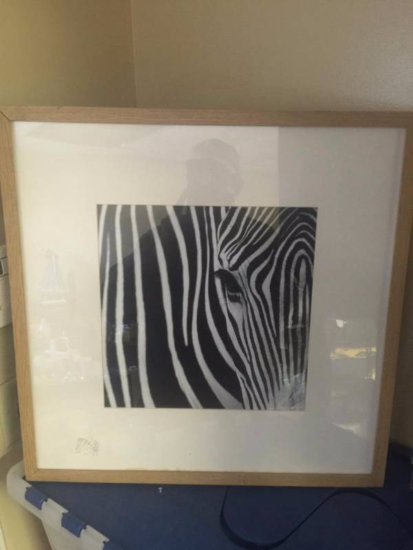 lot 51 image: Very unique to core picture framed and matted...