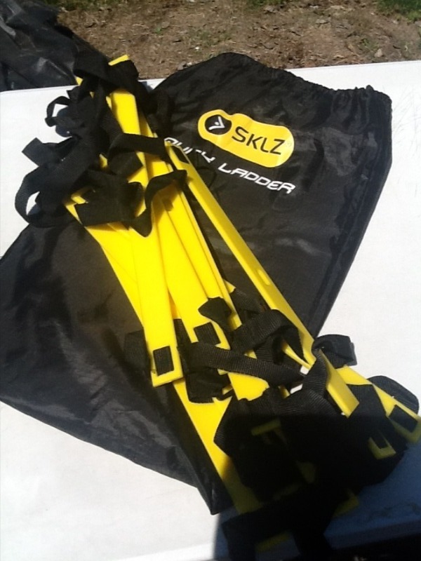 lot 7746 image: Portable ladder with storage bag great for second floors
