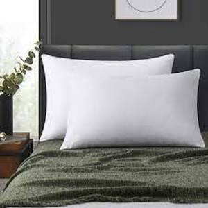 lot 2788 image: Set Of 2 20x26 Standard Pillows