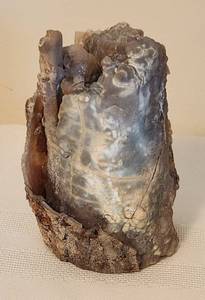 lot 515 image: Blue Forest Petrified Wood with Polished End - 5 14