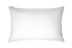 lot 54087 image: Temperloft Down Dreams Pillow King Found in Doubletree by Hilton Hotels Set of 2