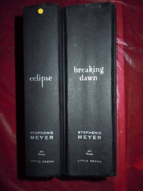 lot 552 image: Twilight Books 1st Edition