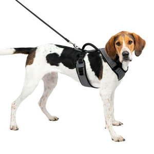 lot 2120 image: PetSafe EasySport Dog Harness  Great for Runs Walks and Hikes  Comfy