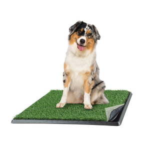 lot 5213 image: Artificial Grass Puppy Pee Pad for Dogs and Small Pets - 20x25 Reusable 4-Layer Training Potty Pad with Tray - Dog Housebreaking Supplies by PETMAKER